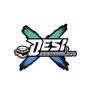 Dash Radio - Desi - South Asian Hits logo