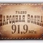 Народная Волна logo