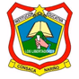 Los_Libertadores logo
