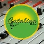 Radio Catalina 89.1 FM logo