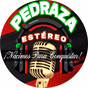 Pedraza Estereo logo