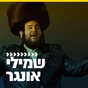 קול חי מיוזיק - שמילי אונגר logo