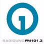 Radio UNO FM 101.3 logo