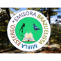 EMISORA BRAZUELISTA MIRLA ESTEREO logo