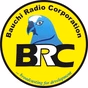 BRC FM Bununu logo