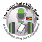 The Voice Note Files Radio (TVNF) logo