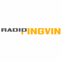 Radio Pingvin -Domaća muzika logo