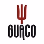 Radio Web Guaco logo
