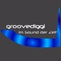 groovediggi logo