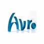 AVRO Steenen Tijdperk Fifties logo