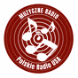 Polskie Radio USA logo