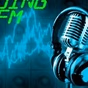 POING FM logo