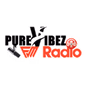 Pure Vibez FM Radio logo