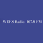 WEES Radio - WEES-LP logo