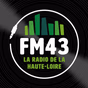 Radio FM 43 logo
