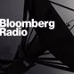 Bloomberg Radio - W291CZ logo