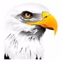 The Eagle logo