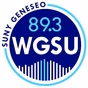 89.3 WGSU Geneseo's Voice of the Valley logo