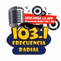 Frecuencia Radial logo