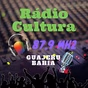 Rádio Cultura FM 87.9 logo
