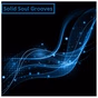 Solid Soul Grooves logo