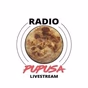 Radio Pupusa logo