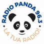 Radio Panda 96.3 logo