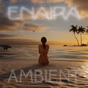 Enaira Ambient logo