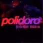 Polidoro FM logo