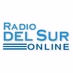 Radio Del Sur Online - Rock Argentina y Uruguay logo