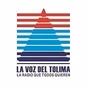 La voz del Tolima 870 logo