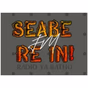 SeabeReInFM logo