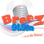 Breez 91.9FM logo