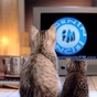 Egeninincisi FM logo
