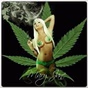 Kentucky Weed Radio logo