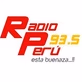 Radio P 93.5 logo