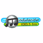 Modulacion 100.3 logo