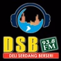 DSB FM 93.8 Deliserdang logo