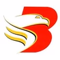 Brigada News FM Palawan - DWBJ logo