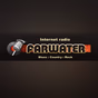 Radio Farwater- Blues logo