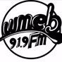 WMEB 91.9fm - WMEB-FM logo