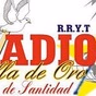 Radio Estrella De Oro 97.3 FM logo