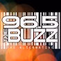 96.5 The Buzz - KRBZ logo