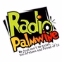 Radio Palmwine - Igbo Radio logo