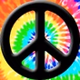 KFlash Radio logo