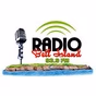 Radio Bell Island 93.9 - CJBI-FM logo