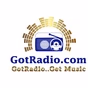 GotRadio - Guitar Genius logo