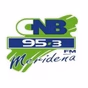 CNB 95.3FM logo