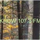 KRDW 107.3 FM - KRDW-LP logo