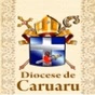 Web Rádio Diocese de Caruaru logo